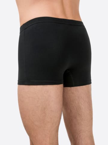 Bugatti Pants in 3 Stück schwarz