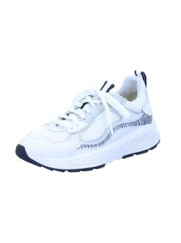 Xsensible Schnürschuhe Milau in white combi