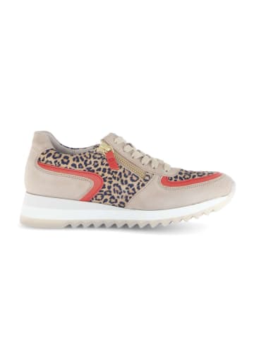 Gabor Sneaker low in beige