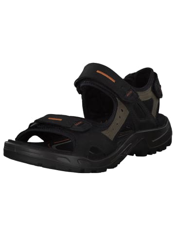 Ecco Klassische Sandalen in BLACK/MOLE/BLACK