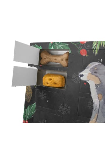 Mr. & Mrs. Panda Hundeadventskalender Berner Sennenhund Moment m... in Kreidetafel
