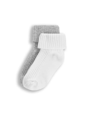 Coccodrillo Socken in bunt