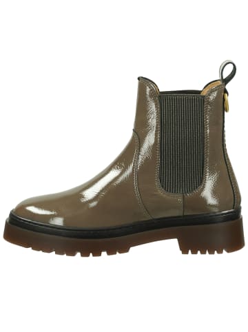 GANT Footwear Chelsea Boot ALIGREY in desert brown