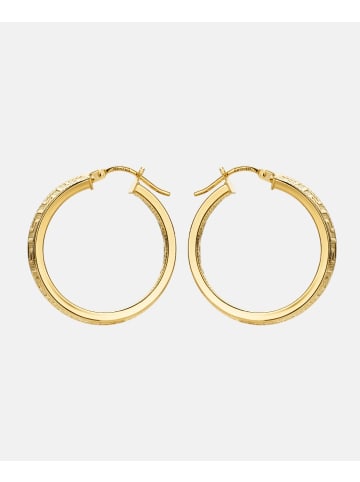 Vanlere Creolen aus 375 Gelbgold