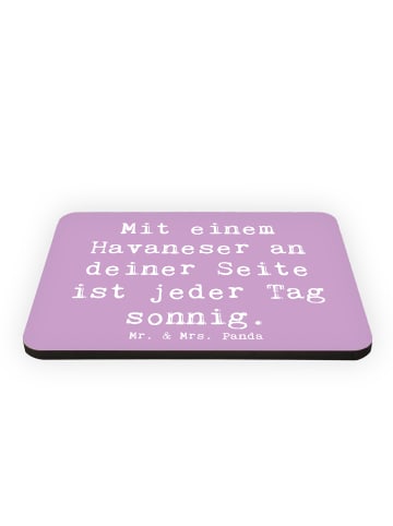 Mr. & Mrs. Panda Magnet Spruch Havaneser Sonnenschein mit Spruch in Lavendeltraum