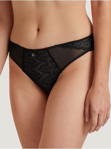 Calida Slip in schwarz
