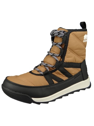 Sorel Stiefel Whitney Short Lace braun