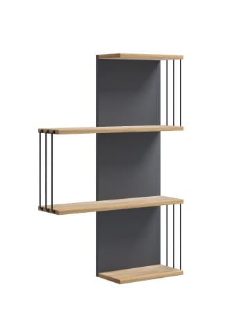 VCM  Holz Wandregal Hängeregal Regal Dolira L in Anthrazit / Honig-Eiche