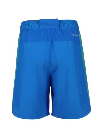 adidas Performance Trainingsshorts Seasonal Special in blau