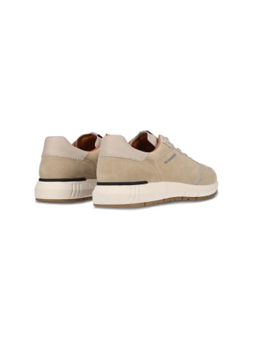 SALAMANDER Sneaker in beige