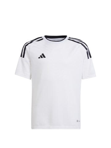 adidas Performance Fußballtrikot Campeon 23 in weiß / schwarz
