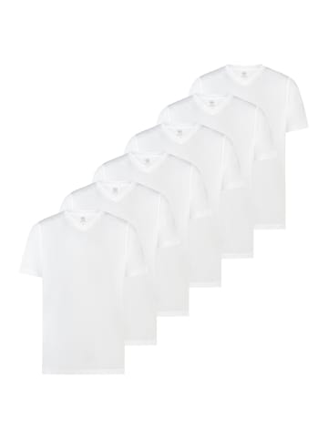 Lerros T-Shirt Basic in Weiß