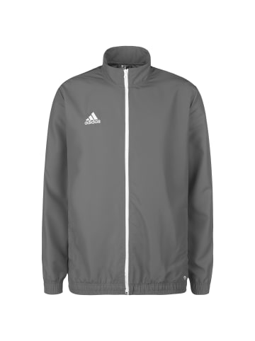 adidas Performance Trainingsjacke Entrada 22 in grau