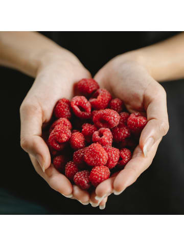 GARDENZO 2er-Set Himbeere 50-60cm 2L Topf