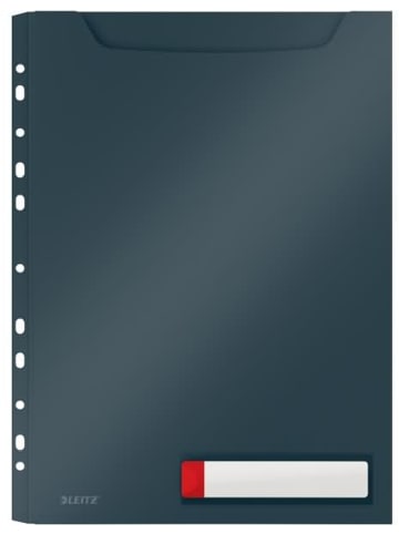 Leitz Prospekthülle Cosy A4 Maxi PP einklappbarer Lochrand Packung mit 3 Stück grau
