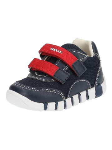 Geox Halbschuhe in Navy