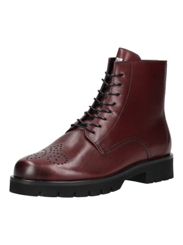 Högl Stiefelette in Weinrot