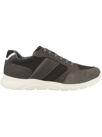 Geox Sneaker low U Damiano A in dunkelgrau