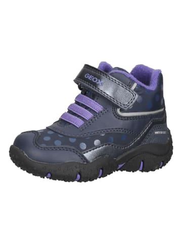 Geox Stiefelette in Navy