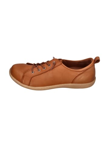 Andrea Conti Sneaker Low 0344578-062 in braun