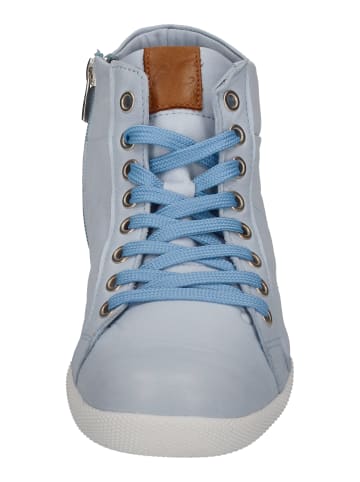 Andrea Conti Sneaker High 0343619-1047 in blau