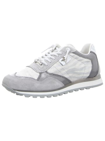 Cetti Sneaker in silber