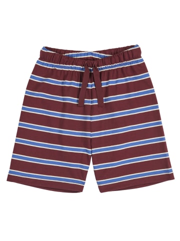 müsli Sweatshorts in Russet/ Azure blue/ Tofu