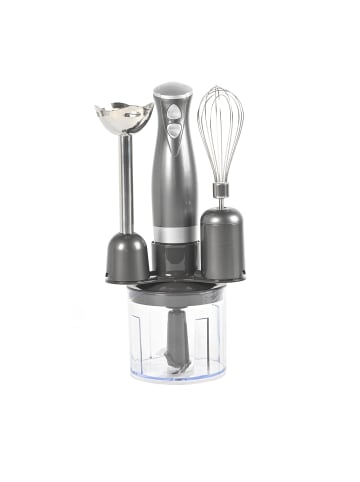 Salter Stabmixer in silbern