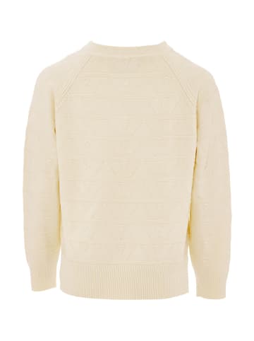 Jalene Strickpullover in Beige
