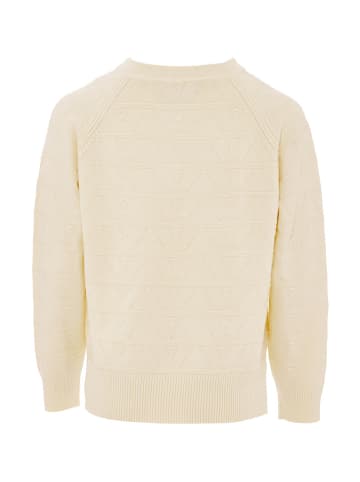 Jalene Strickpullover in Beige