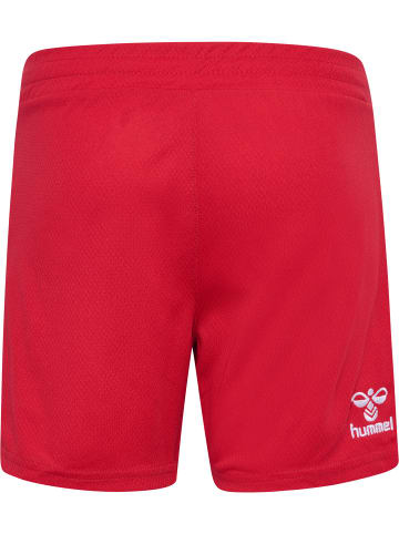 Hummel Hummel Kurze Hose 1Fck 23/24 Fußball Kinder Atmungsaktiv Schnelltrocknend in TRUE RED