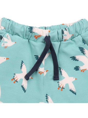 Walkiddy Shorts Seagulls-Shorts