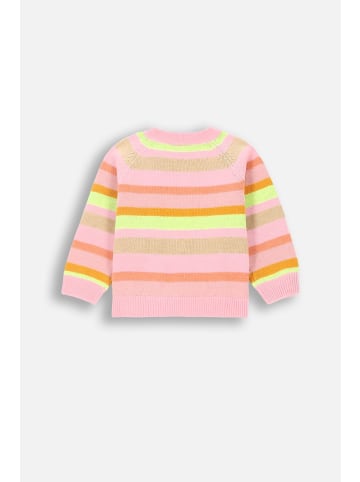 Coccodrillo Strickpullover in bunt
