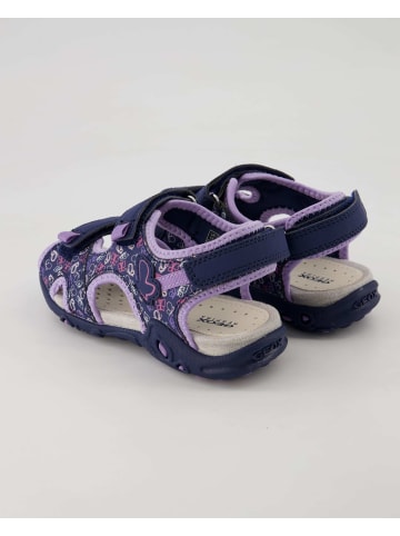 Geox Sandalen in Lila