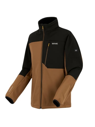 Regatta Softshelljacke Moutdale in Braun