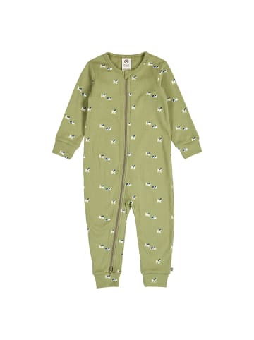 müsli Strampler 1584069800 in gruen