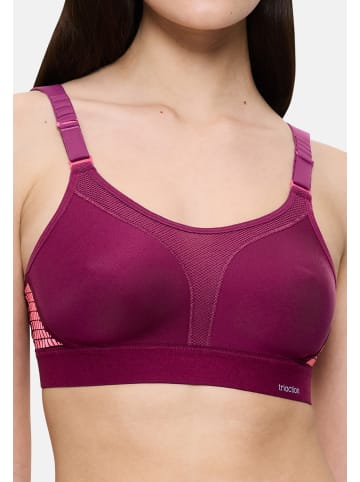 triaction by Triumph Sport-BH Extreme Lite in Red wine