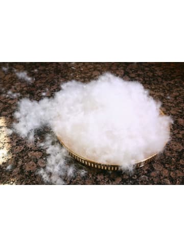 Horst Schäfer Sommerdaunendecke "De Luxe 100% Gänsedaunen" in weiß