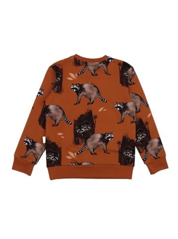 Walkiddy Sweatshirt Curious Raccoons-Sweatshirt