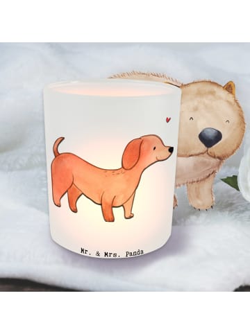 Mr. & Mrs. Panda teelichtleuchter Dackel Kurzhaardackel Lebensre... in Transparent