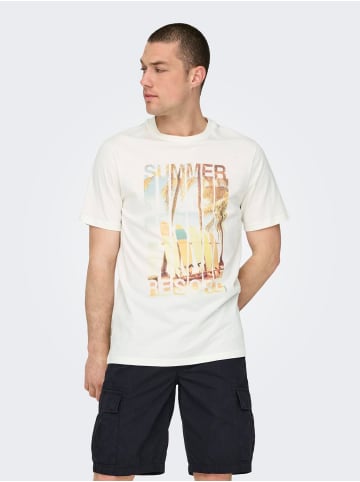 Only&Sons T-Shirt 2er-Set Rundhals Kurzarm in Braun-Grün