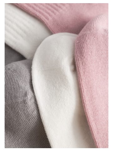 Codello Socken in divers