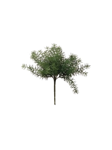 Fink Kunstblume Asparagus grün - (H) 26 cm