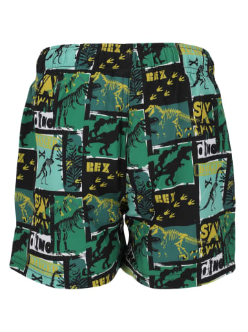 Zigzag Badeshorts Joseph in Print 3498