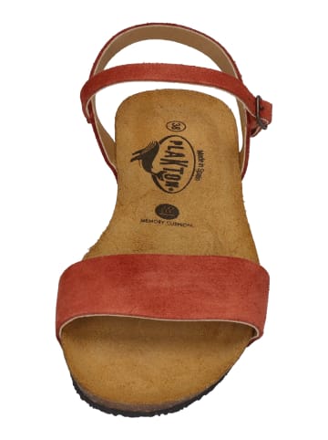 Plakton Sandalen FRAN AMBO 405725 in rot