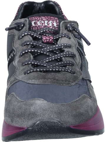 Cetti Schnürschuhe, Sneakers Low in antracita