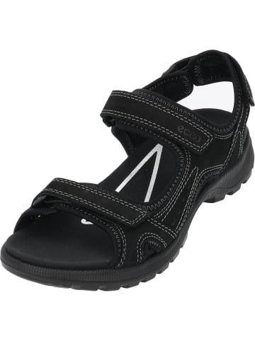 Ecco Sandaletten in Black/Black