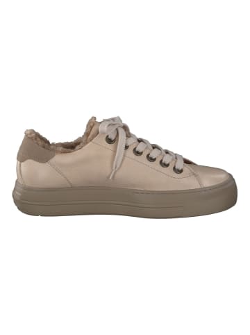 Paul Green Sneaker in Beige