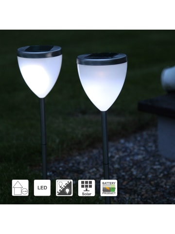 STAR Trading Solar-Gartenleuchte Vigo 2er-Set
