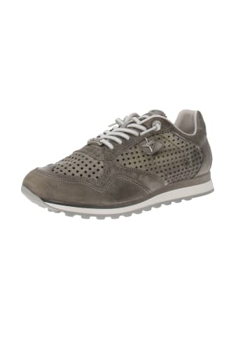 Cetti Sneaker low C-848 EXP V25 in Grau